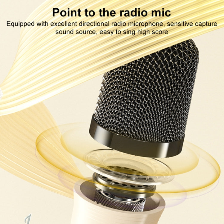 Mini altoparlante Bluetooth per karaoke WK D43