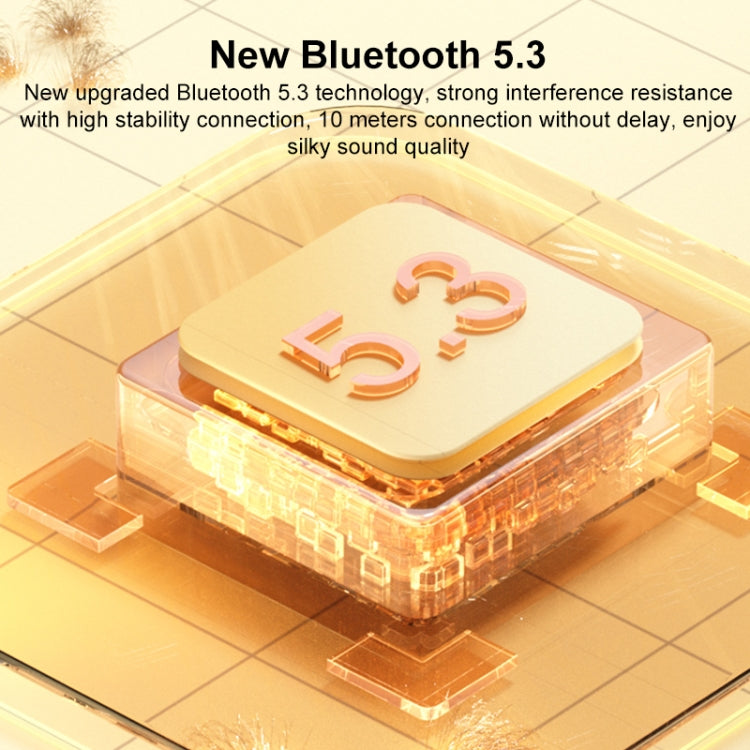 Mini altoparlante Bluetooth per karaoke WK D43