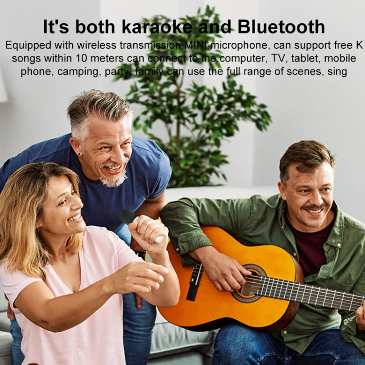 Mini altoparlante Bluetooth per karaoke WK D43