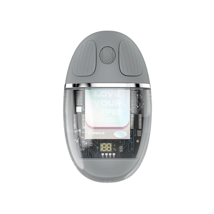 Mouse ZGA colorato trasparente dual mode wireless 2.4G + Bluetooth 5.0
