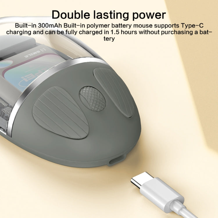 Mouse ZGA colorato trasparente dual mode wireless 2.4G + Bluetooth 5.0
