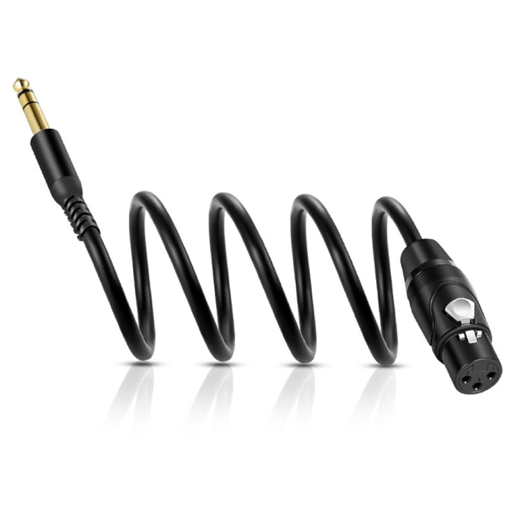 Cavo audio per microfono a doppio canale femmina Canon da 6,35 mm a XRL, 1m, 2m, 3m, 5m, 10m