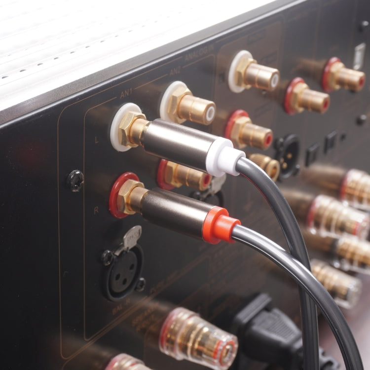 Cavo audio da 2 RCA maschio a 2 XLR 3 pin maschio, 1.5m, 3m