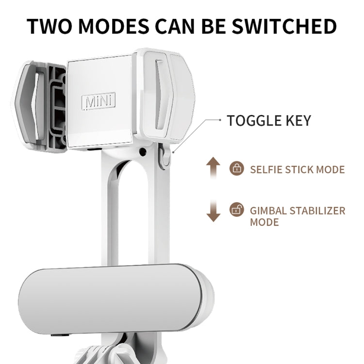 FUNSNAP Capture Q3 Gimbal palmare ad asse singolo per telefono stabilizzatore live, Capture Q3