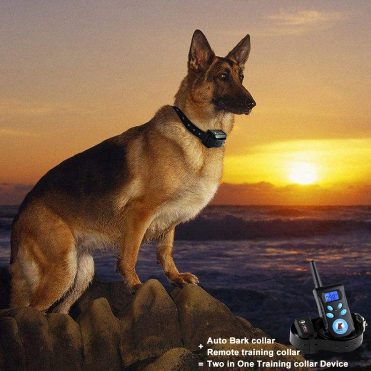 Collare antiabbaio automatico Sistema di controllo dell'addestramento degli animali domestici + Collare in pelle PU con scosse elettriche per cani, PD520