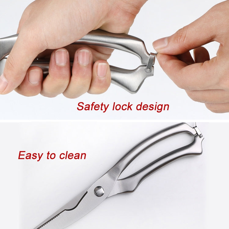 Cesoia per gadget da cucina da 10 pollici per pollame, pesce, osso di pollo, in acciaio inossidabile, confezione regalo, Gift Box Package