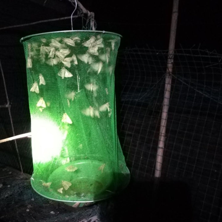 Cacciatore di mosche automatico sospeso pieghevole da 3 pezzi, gabbia per mosche indotta, Fly Cage