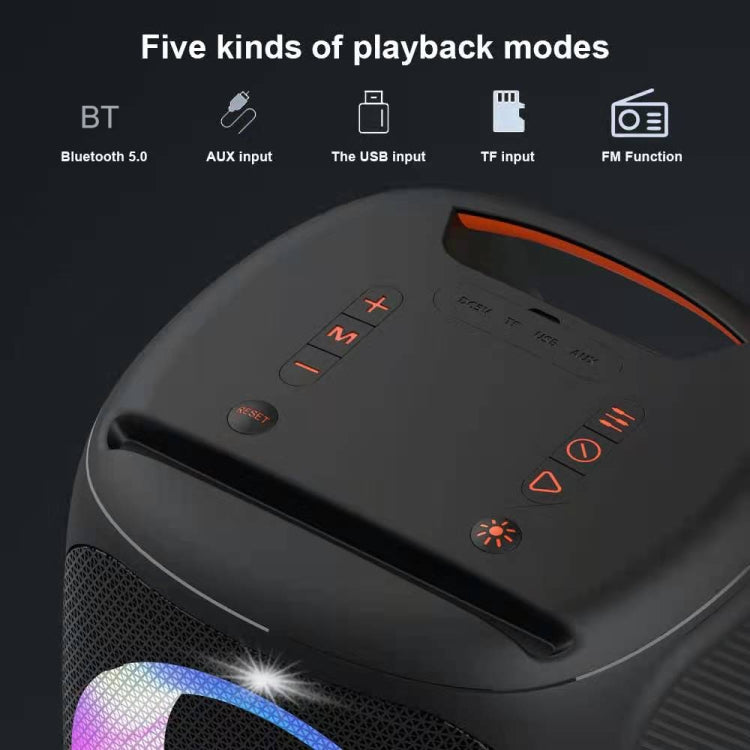 HOPESTAR Party100 Bluetooth 5.0 Altoparlante Bluetooth wireless portatile impermeabile con funzione di ricarica mobile, Party100(Black), Party100(Green), Party100(Blue)