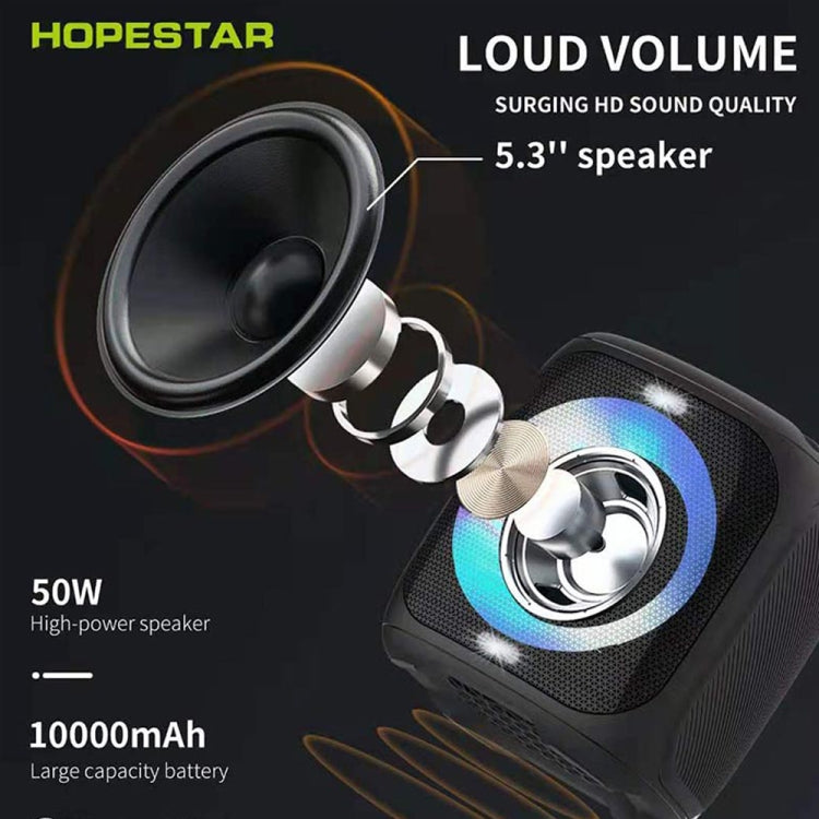 HOPESTAR Party100 Bluetooth 5.0 Altoparlante Bluetooth wireless portatile impermeabile con funzione di ricarica mobile, Party100(Black), Party100(Green), Party100(Blue)