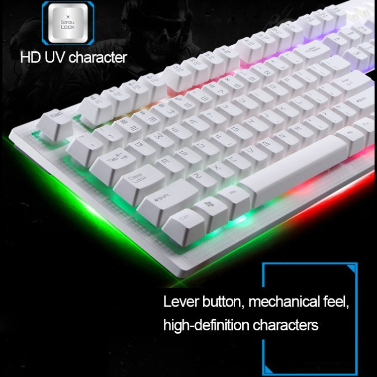 ZGB G20 1600 DPI Tastiera a sospensione meccanica professionale cablata luminosa + kit mouse ottico per laptop, PC