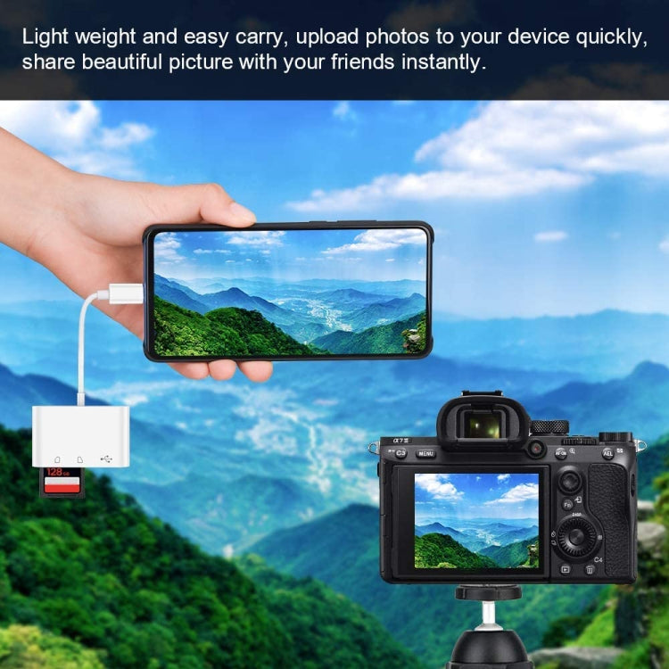 NK103TC Lettore fotocamera 3 in 1 da USB-C/Tipo-C maschio a SD + TF + USB femmina, NK103TC