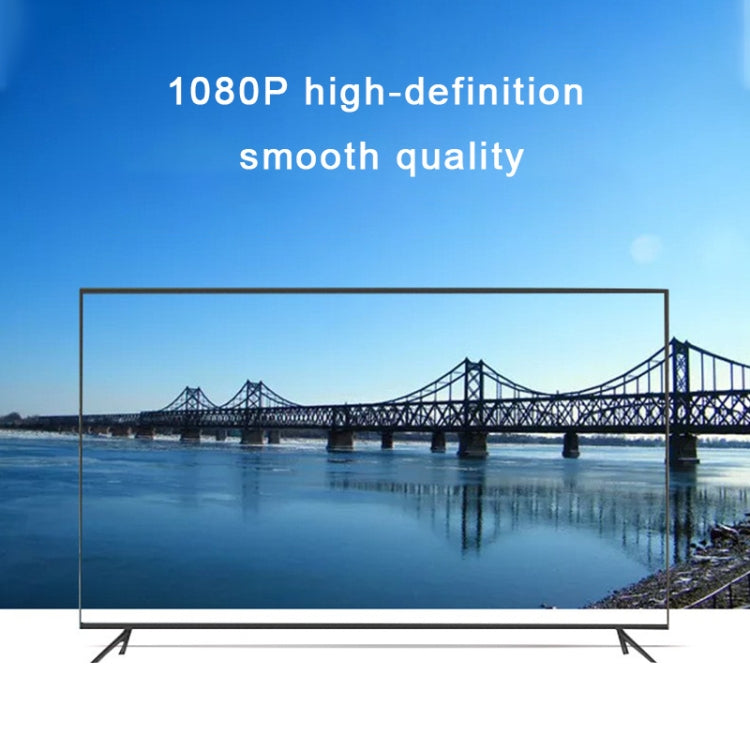Cavo sdoppiatore DVI 24+1 pin maschio a 2 x HDMI femmina da 29,5 cm, DVI 24+1 Pin Male to 2 x HDMI Female