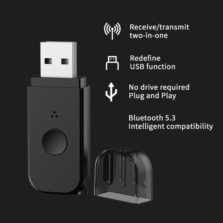 Trasmettitore ricevitore audio Bluetooth 5.3 H210 2 in 1 doppia uscita AUX+USB, H210