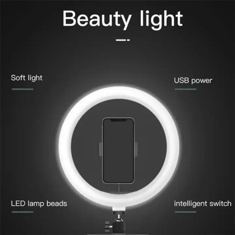 JMARY FM-536A Set di luci di bellezza con supporto in streaming per luce di riempimento live da 10 pollici, FM-536A