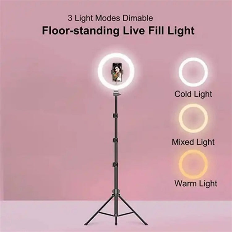 JMARY FM-536A Set di luci di bellezza con supporto in streaming per luce di riempimento live da 10 pollici, FM-536A