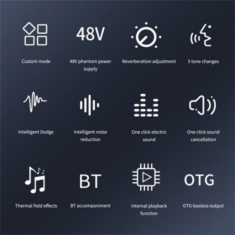 Mixer audio mobile per scheda audio karaoke con registrazione in streaming live C100, C100