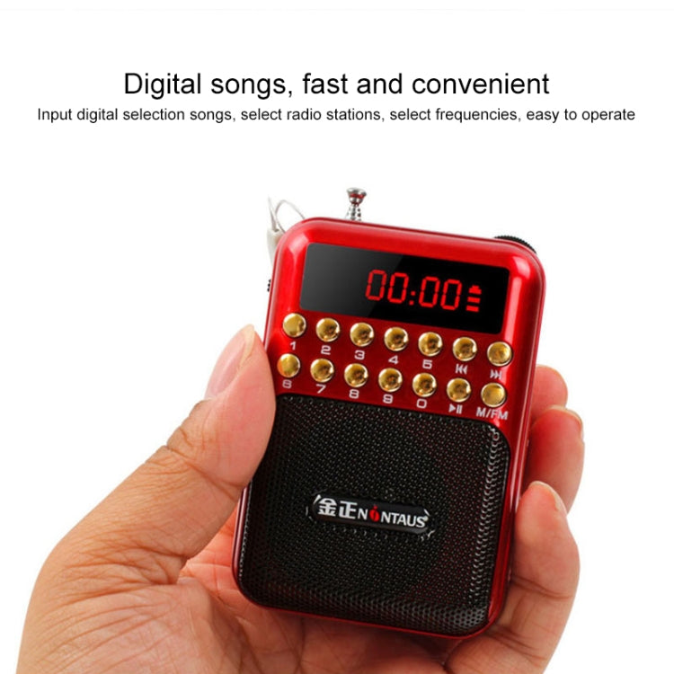 Altoparlante ricevitore radio FM portatile ricaricabile, supporto USB / scheda TF / lettore musicale MP3
