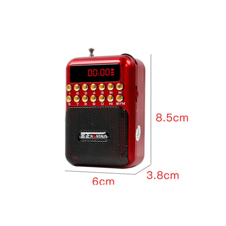 Altoparlante ricevitore radio FM portatile ricaricabile, supporto USB / scheda TF / lettore musicale MP3