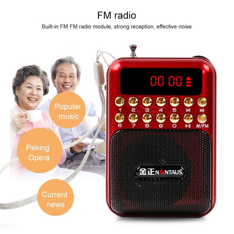 Altoparlante ricevitore radio FM portatile ricaricabile, supporto USB / scheda TF / lettore musicale MP3