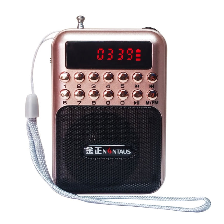 Altoparlante ricevitore radio FM portatile ricaricabile, supporto USB / scheda TF / lettore musicale MP3