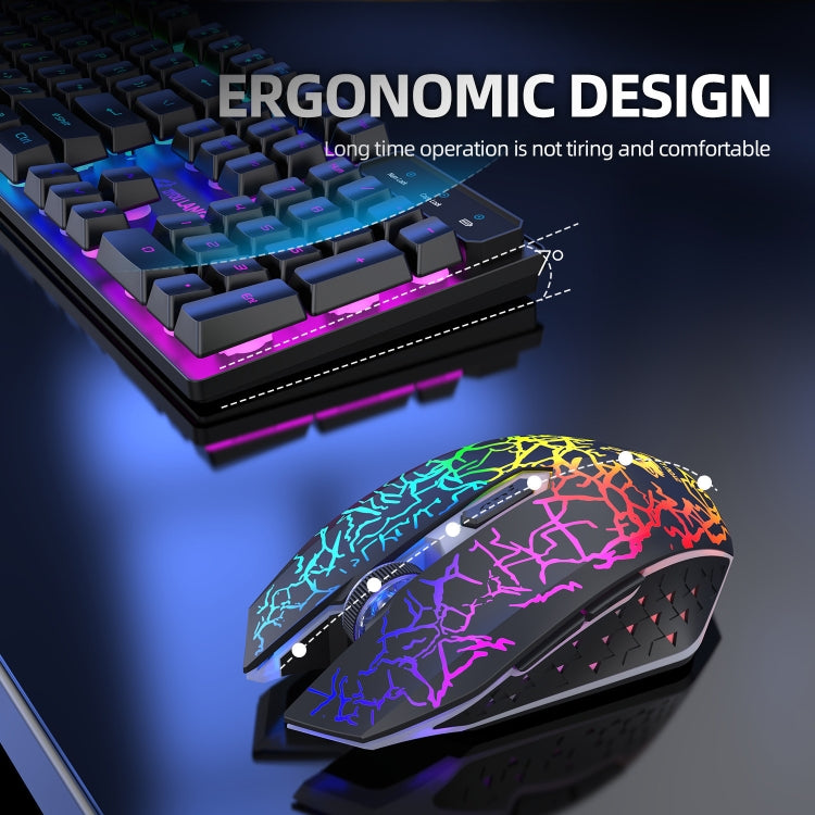 Set tastiera e mouse illuminati da gioco con ricarica wireless ZIYOULANG T3, T3 Black Rainbow Light, T3 Black Orange Light, T3 White Rainbow Light