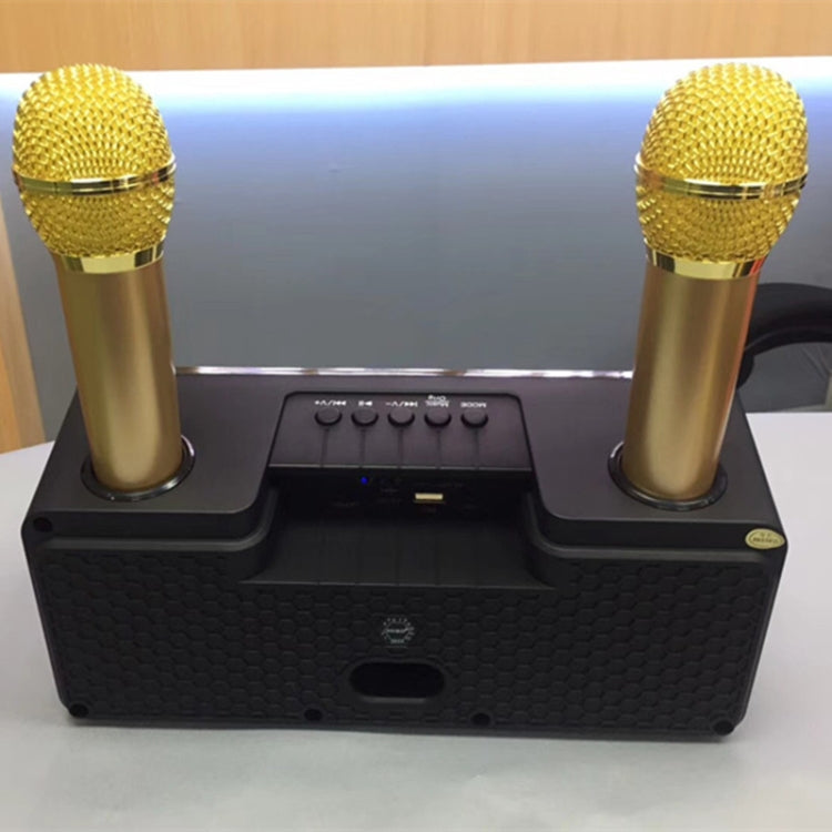 SDRD SD-301 Doppio microfono live wireless portatile KTV per famiglia 2 in 1 + altoparlante Bluetooth