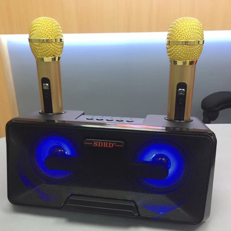 SDRD SD-301 Doppio microfono live wireless portatile KTV per famiglia 2 in 1 + altoparlante Bluetooth