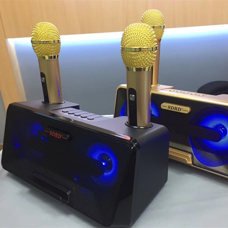 SDRD SD-301 Doppio microfono live wireless portatile KTV per famiglia 2 in 1 + altoparlante Bluetooth