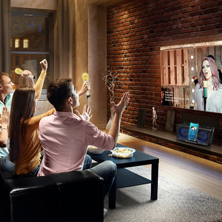 SDRD SD-301 Doppio microfono live wireless portatile KTV per famiglia 2 in 1 + altoparlante Bluetooth