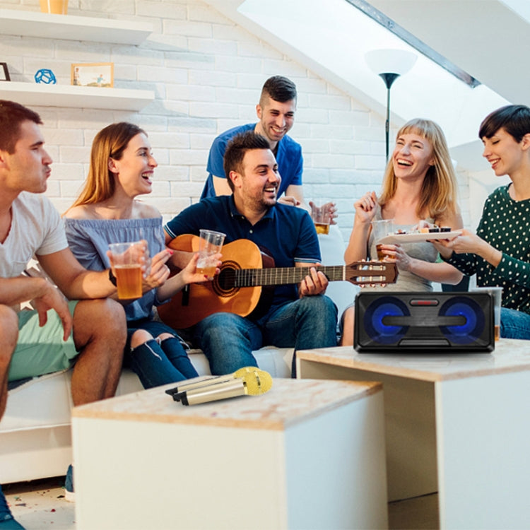 SDRD SD-301 Doppio microfono live wireless portatile KTV per famiglia 2 in 1 + altoparlante Bluetooth