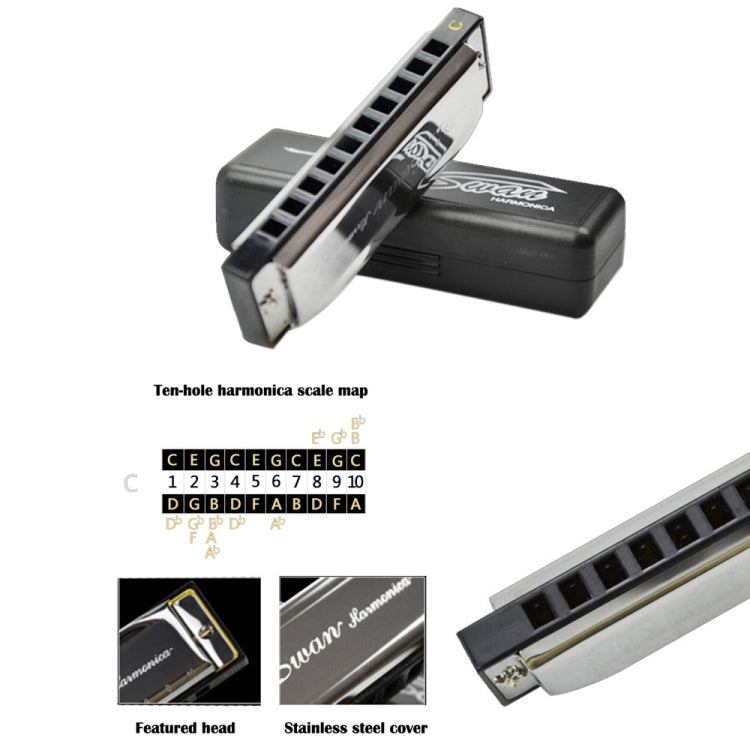 Swan 2 pezzi 10 fori armonica Bruce a grandezza naturale Principianti Bambini Studenti adulti che suonano strumenti musicali, Swan 10 Holes Bruce Harmonica