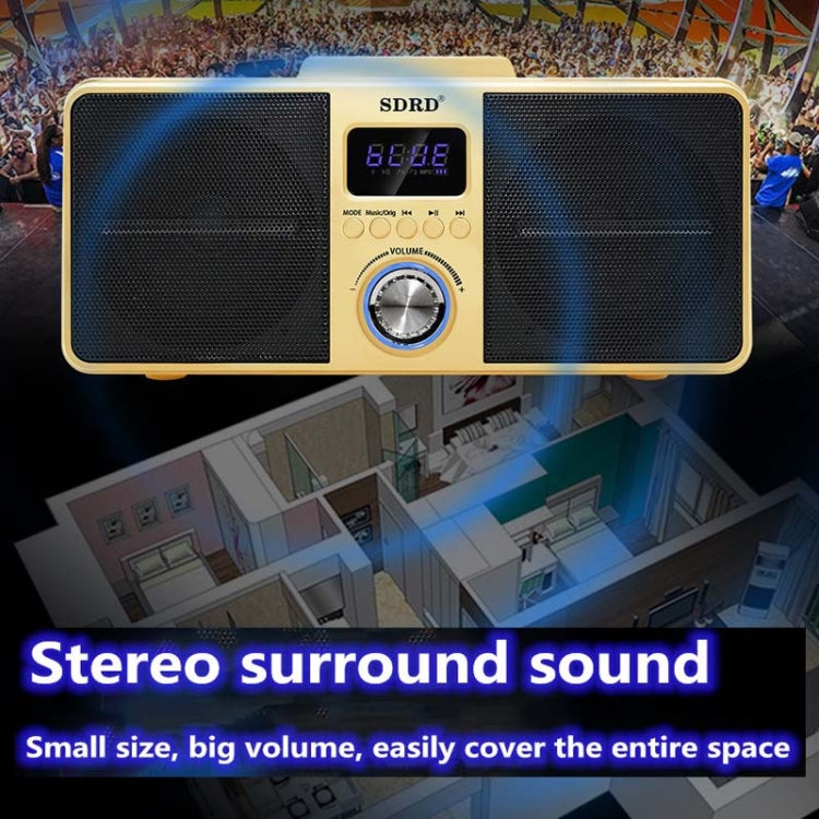 SDRD SD309 Microfono wireless Bluetooth Audio Macchina tutto in uno