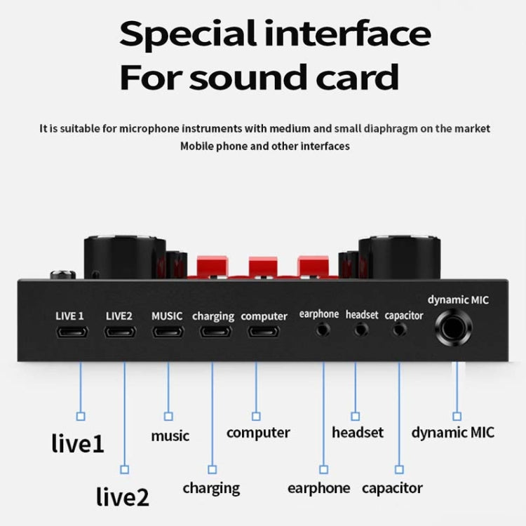 Scheda audio V8S Telefono cellulare Computer Anchor Live K Microfono per la registrazione di brani, English Version, V8S + Golden Net BM700 Set, V8S + Black Bet BM700 Set