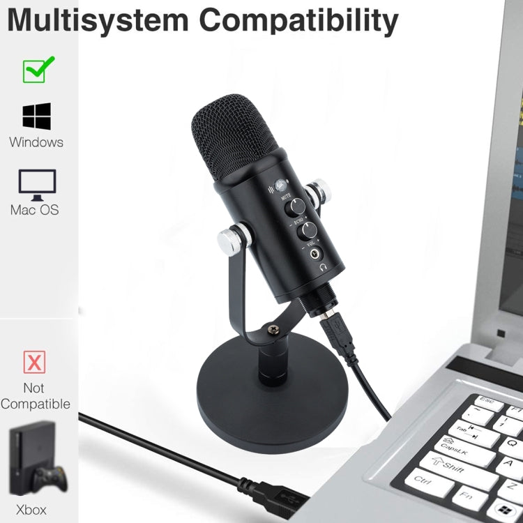 BM-86 Microfono a condensatore USB Registrazione vocale Microfono per computer Set di apparecchiature per trasmissione dal vivo, Standard, Cantilever Bracket Set, Standard+Small Blowout Prevention Net