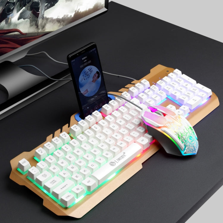 LIMEIDE T21 Set tastiera e mouse manipolatore per computer retroilluminato da gioco cablato 104 tasti, lunghezza cavo: 1,4 m