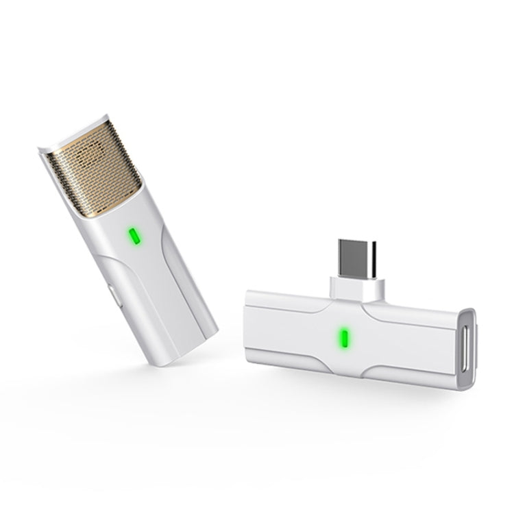 DS01 Microfono con collare in diretta per esterni Collare Colloquio Registrazione Microfono wireless con riduzione del rumore, Specifica:, 8 Pin (Black), 8 Pin (White), Type-C / USB-C (Black), Type-C / USB-C (White)