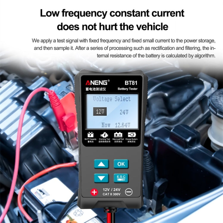 Rilevatore di capacità di resistenza interna della batteria ANENG BT81 12V/24V