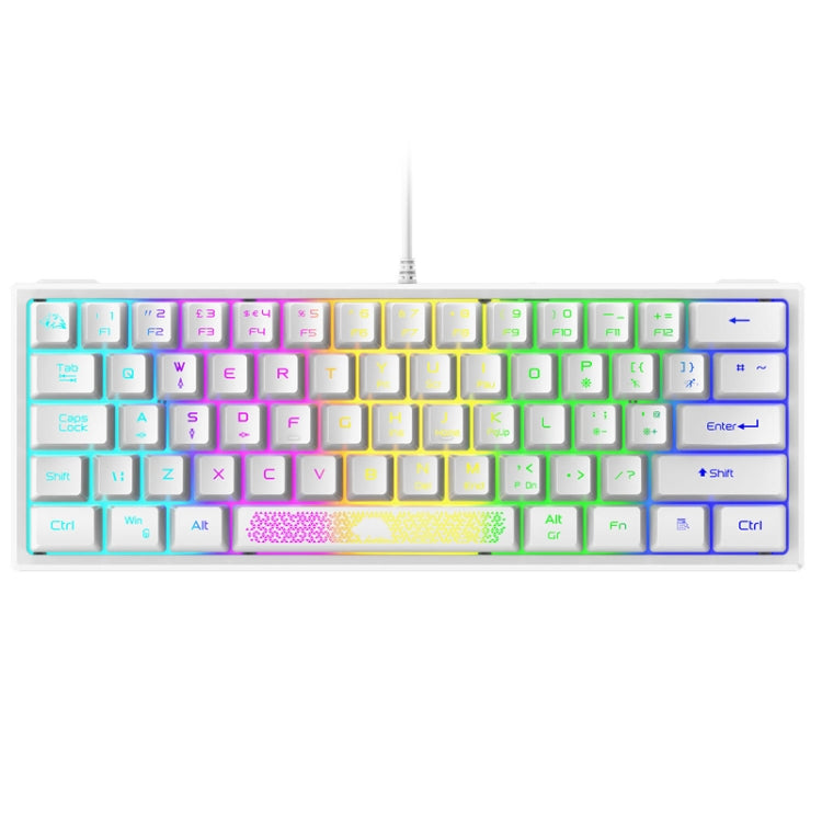 ZIYOU LANG K61 62 Tasti Illuminazione RGB Mini Tastiera cablata da gioco, Lunghezza cavo: 1,5 m, K61 Black, K61 White, K61 Blue