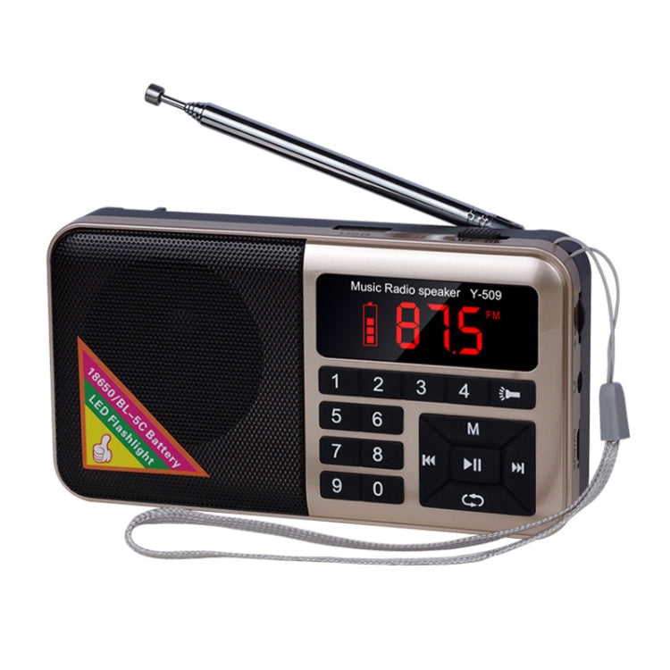 Bluetooth Card Radio Lettore FM digitale, specifiche: Y-509FM (senza pannello solare), Red, Gold, Blue, Black