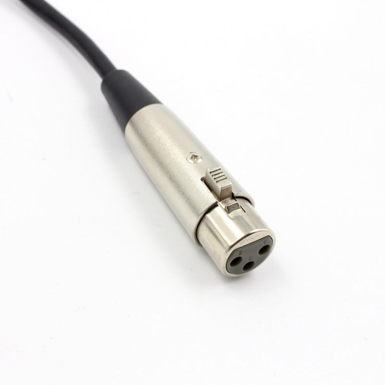 Connessione microfono da 3 m Cavo per computer da USB a XLR