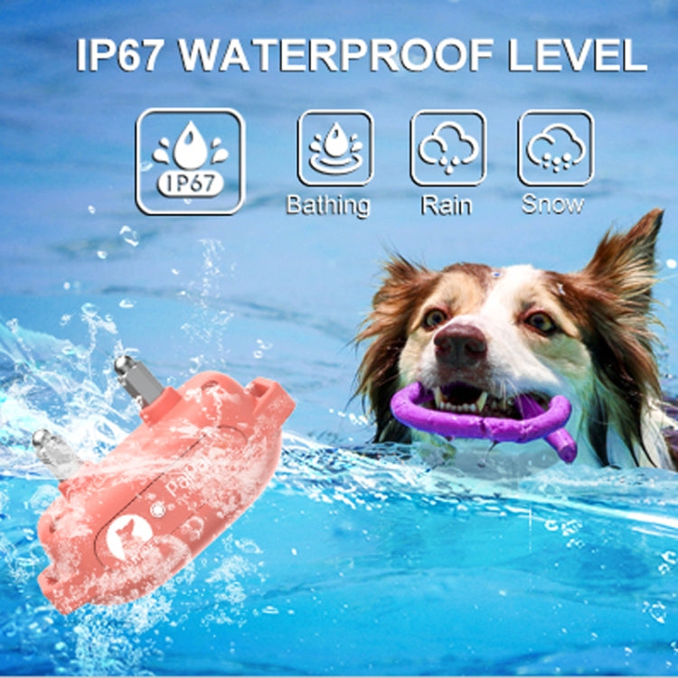 PaiPaitek PD523 Addestratore di cani impermeabile ricaricabile con telecomando da 1000 m, PaiPaitek PD523