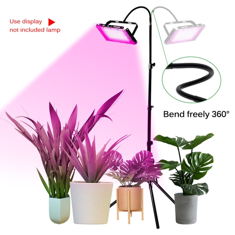 1,6 m Live Photography Light Stand Treppiede anti-pieghevole ispessito, With 30cm Hose
