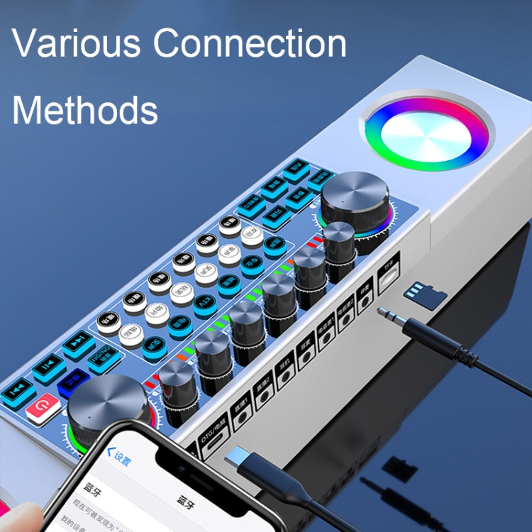 X80 Altoparlante per scheda audio Bluetooth wireless portatile multifunzionale per canto dal vivo, Black, White, Dual-microphone Black, Dual-microphone White, Black Universal, White Universal