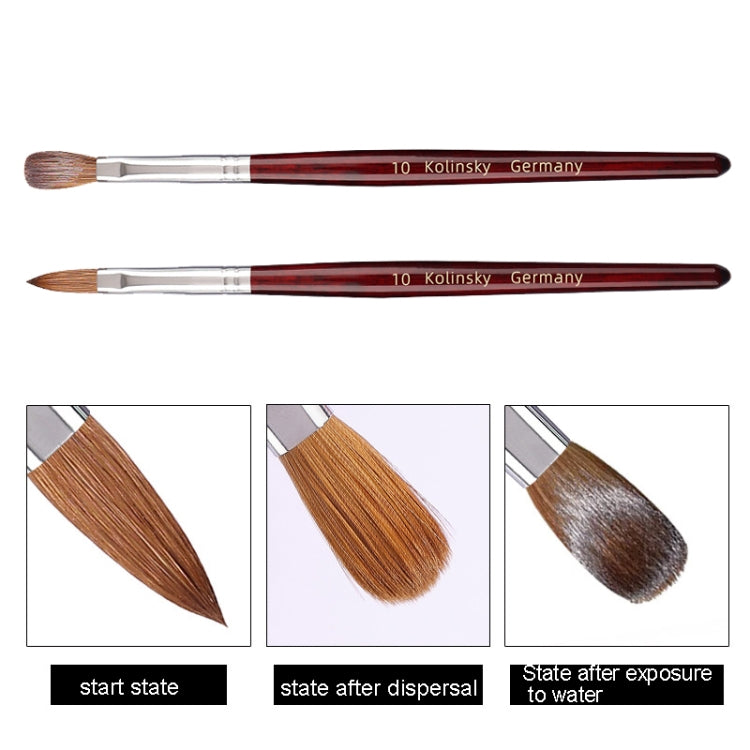 Pennello per nail art con manico in legno rosso Kolinsky, No. 2, No. 4, No. 6, No. 8, No. 10, No. 12, No. 14, No. 16, No. 18, No. 20