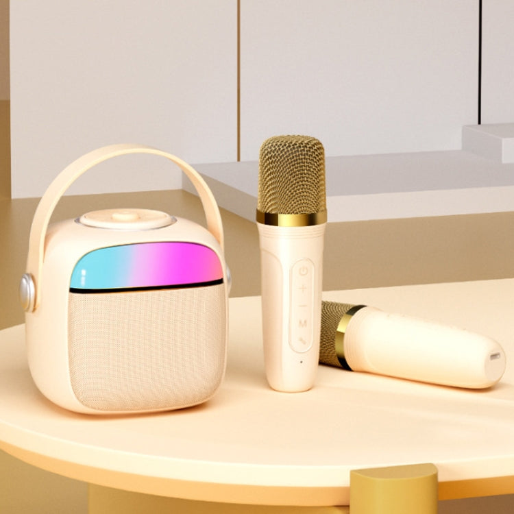 Set microfono altoparlante wireless Bluetooth portatile Havit P1 per canto domestico, Single-microphone, Dual-microphone