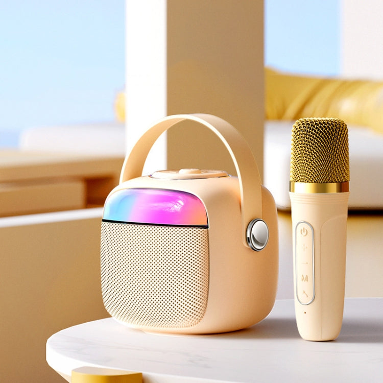 Set microfono altoparlante wireless Bluetooth portatile Havit P1 per canto domestico, Single-microphone, Dual-microphone