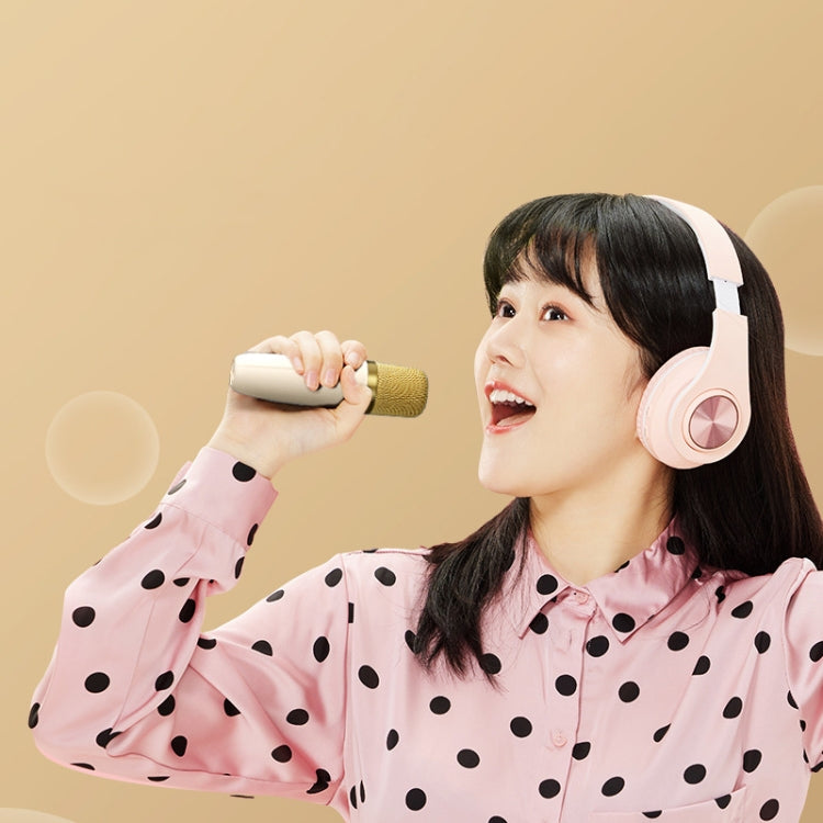 Set microfono altoparlante wireless Bluetooth portatile Havit P1 per canto domestico, Single-microphone, Dual-microphone
