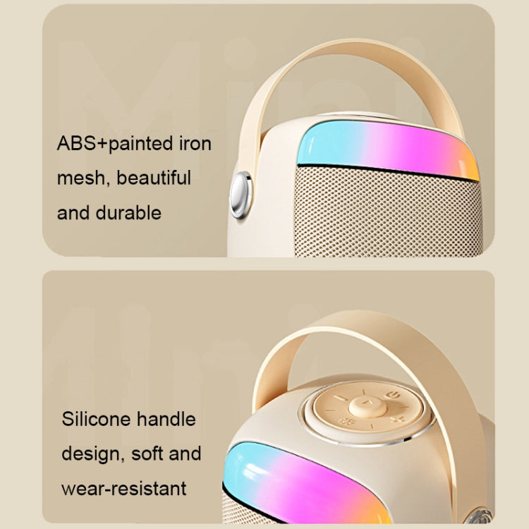 Set microfono altoparlante wireless Bluetooth portatile Havit P1 per canto domestico, Single-microphone, Dual-microphone