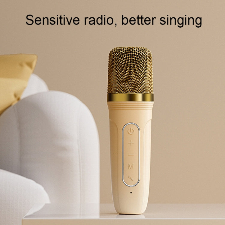 Set microfono altoparlante wireless Bluetooth portatile Havit P1 per canto domestico, Single-microphone, Dual-microphone