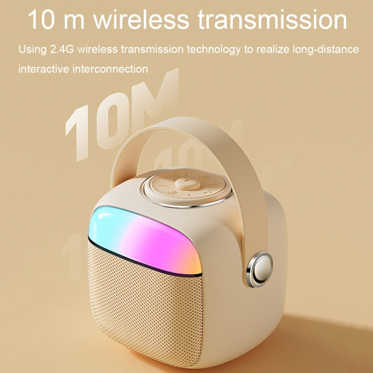 Set microfono altoparlante wireless Bluetooth portatile Havit P1 per canto domestico, Single-microphone, Dual-microphone